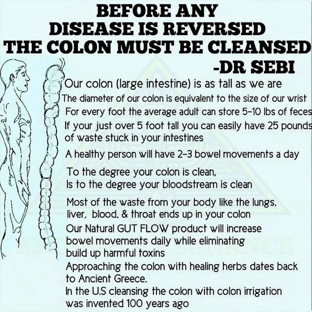 Ditch the Chips! 12 Healthy & Delicious Snack Ideas to Fuel Your Day