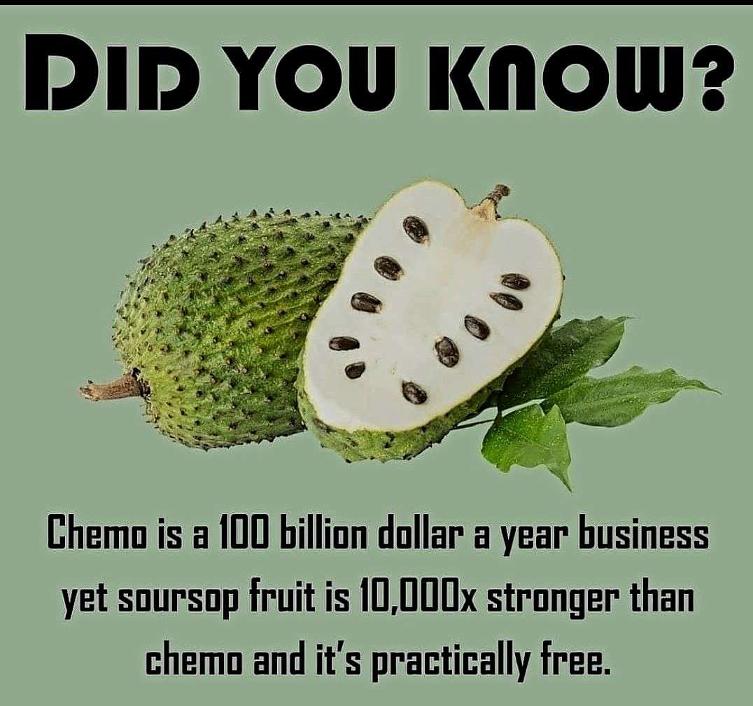 soursop-or-guanabana-and-has-been-proven-to-be-10000-times-more-effective-than-chemotherapy