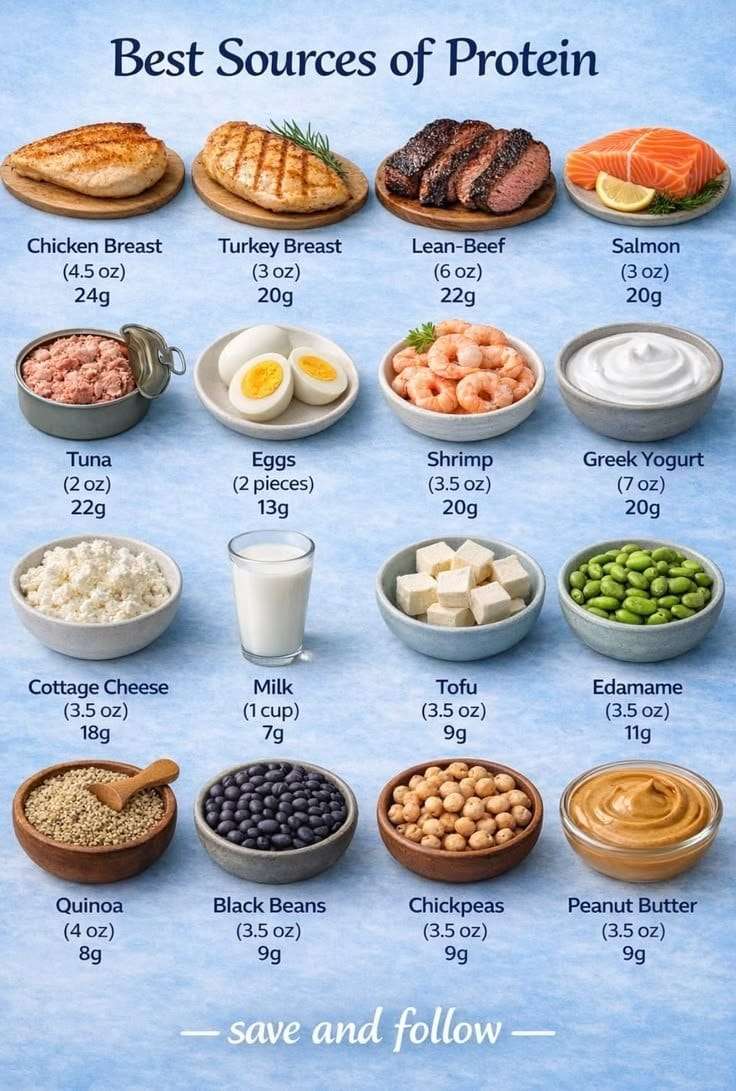 Best-Sources-of-Protein