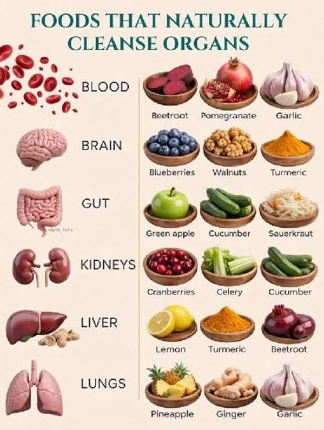 Foods-That-Naturally-Cleanse-Your-Organs