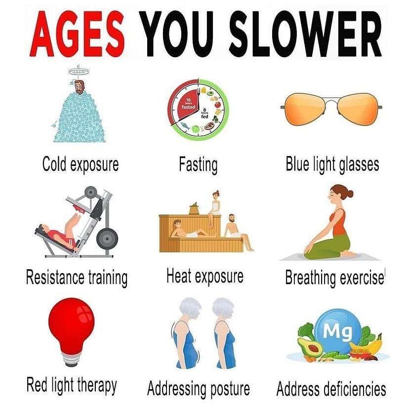 Lifestyle-Habits-That-May-Help-Slow-Aging