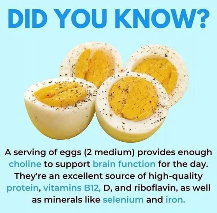 Eggs-Small-but-Mighty-Nutrition
