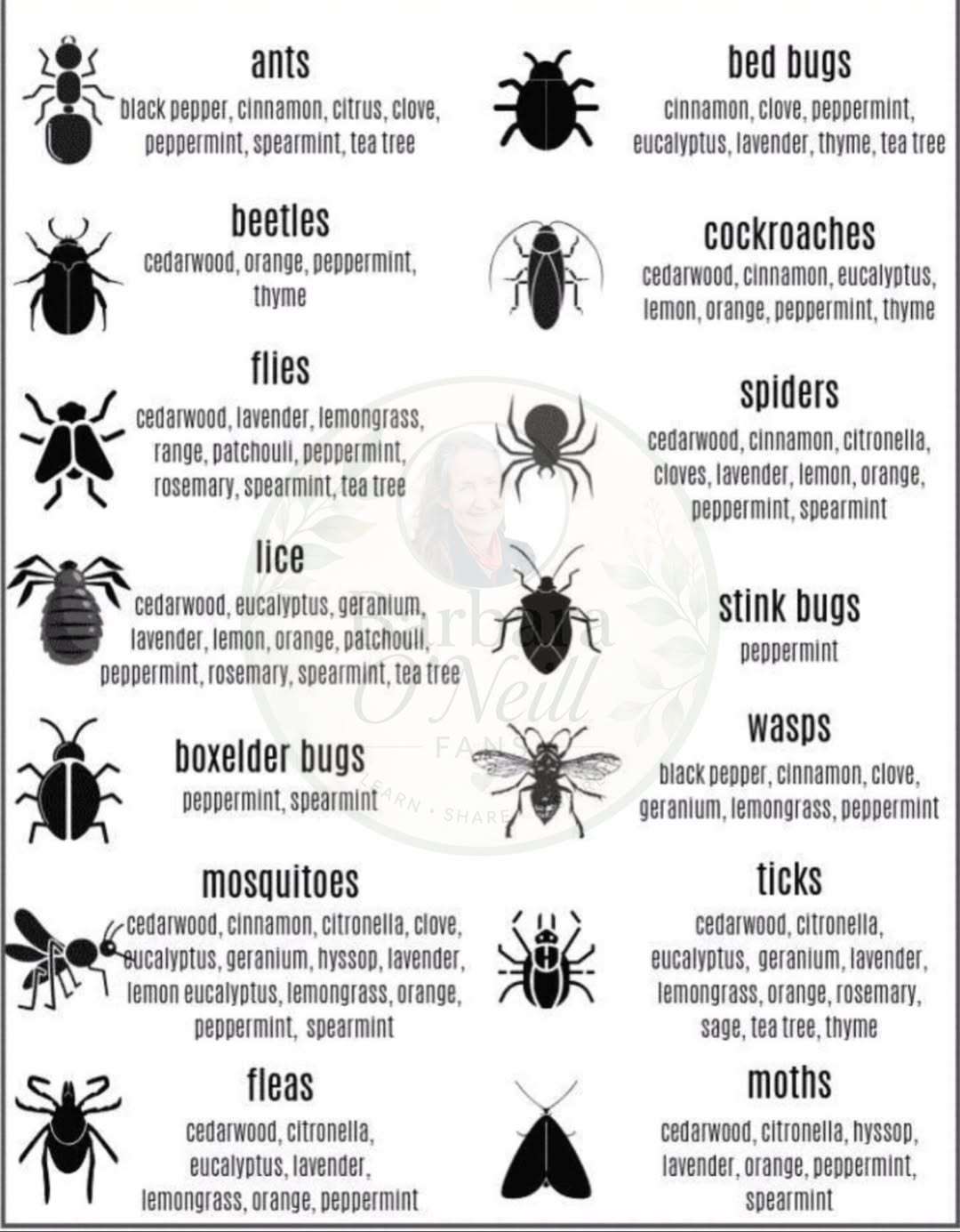 Natural-Oils-vs.-Insects